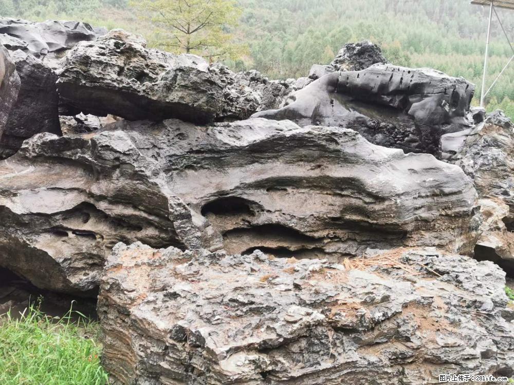 风景石、假山石大量有货,有需要的欢迎联系 - 新手上路 - 鹤岗生活社区 - 鹤岗28生活网 hegang.28life.com