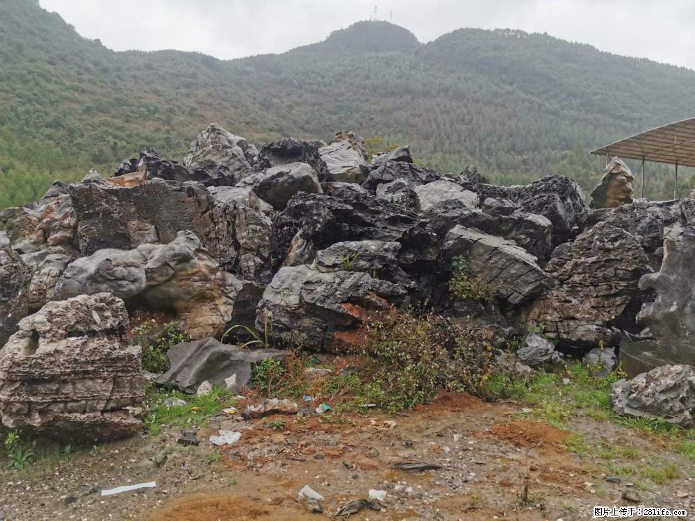 风景石、假山石大量有货,有需要的欢迎联系 - 新手上路 - 鹤岗生活社区 - 鹤岗28生活网 hegang.28life.com