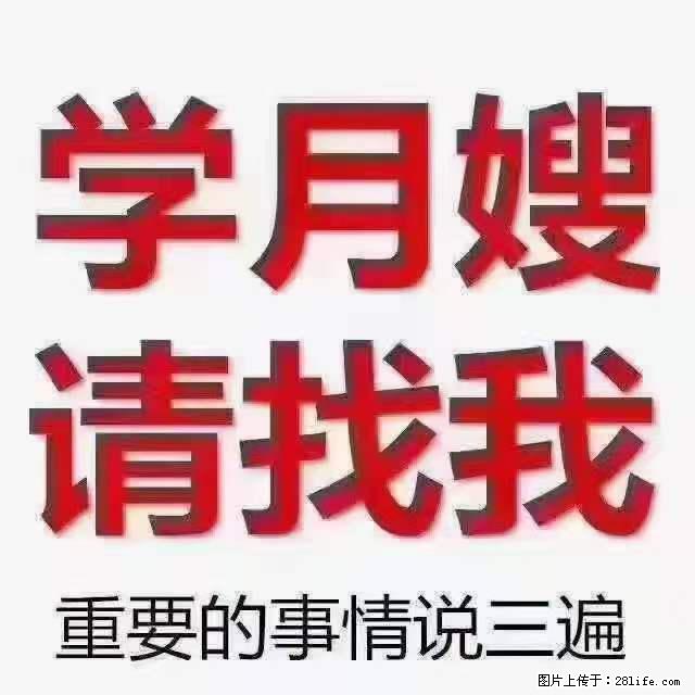 为什么要学习月嫂,育婴师? - 其他广告 - 广告专区 - 鹤岗分类信息 - 鹤岗28生活网 hegang.28life.com