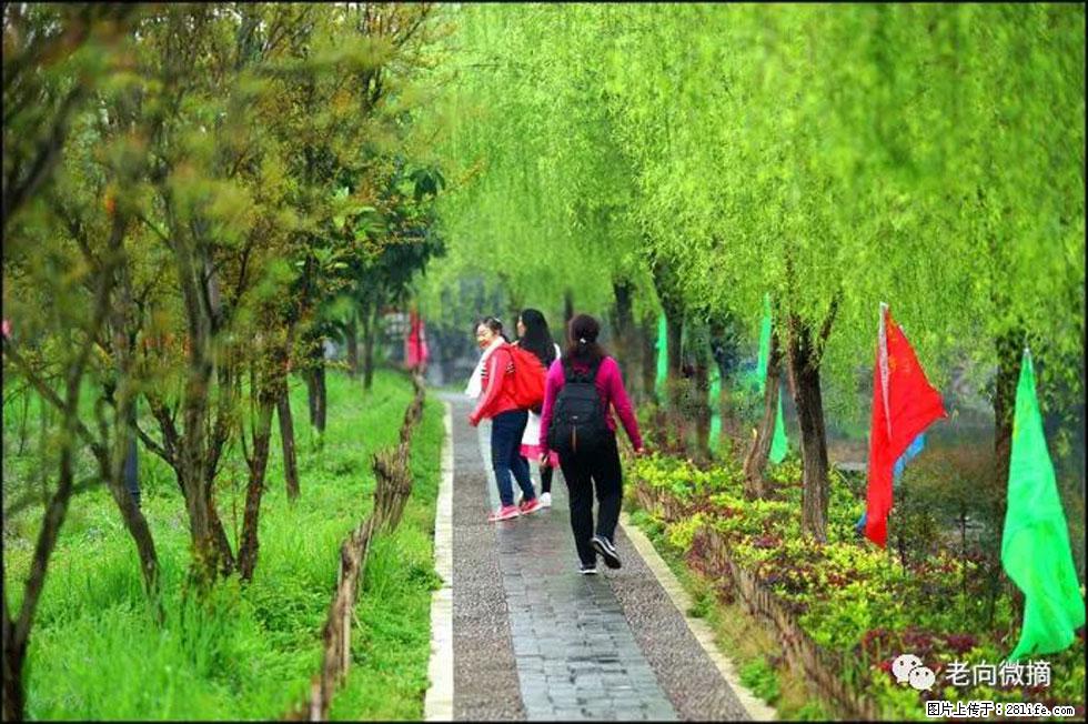 【春天,广西桂林灌阳县向您发出邀请!】江口老街又逢春 - 游山玩水 - 鹤岗生活社区 - 鹤岗28生活网 hegang.28life.com
