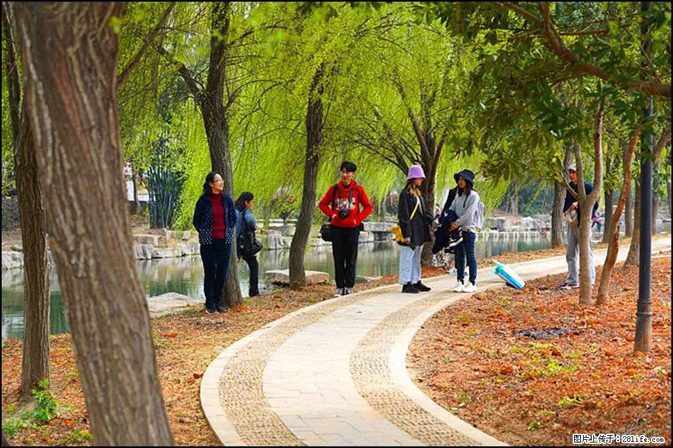 【春天,广西桂林灌阳县向您发出邀请!】江口老街又逢春 - 游山玩水 - 鹤岗生活社区 - 鹤岗28生活网 hegang.28life.com