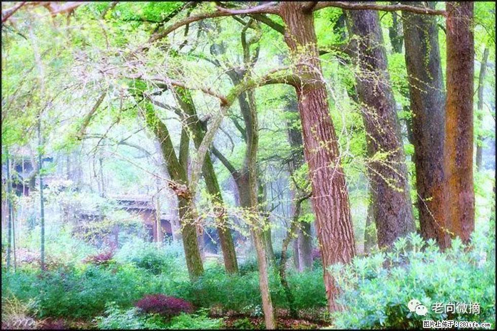 【春天,广西桂林灌阳县向您发出邀请!】在小龙村与春天约会 - 游山玩水 - 鹤岗生活社区 - 鹤岗28生活网 hegang.28life.com