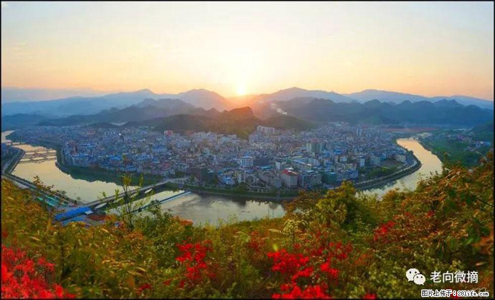 【春天,广西桂林灌阳县向您发出邀请!】登麒麟山,相约映山红 - 游山玩水 - 鹤岗生活社区 - 鹤岗28生活网 hegang.28life.com