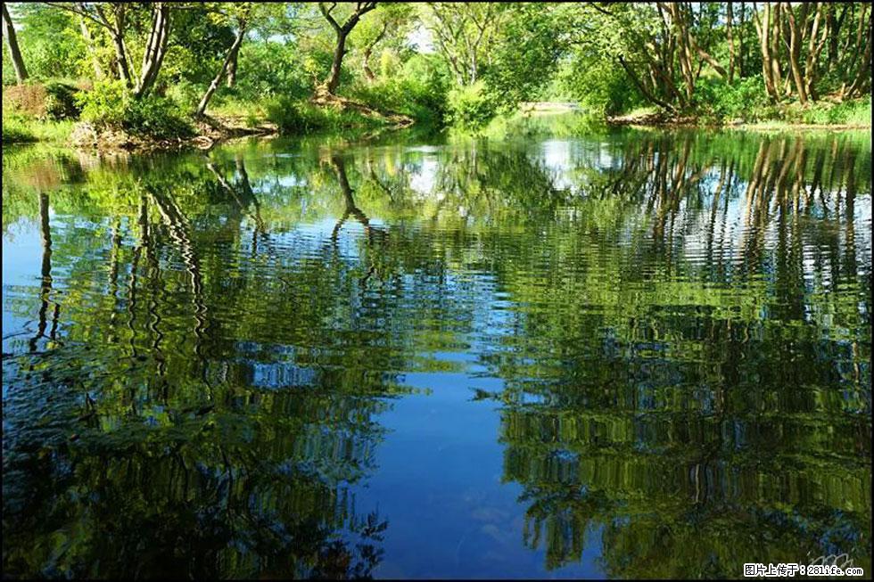 【春天,广西桂林灌阳县向您发出邀请!】熊家寨湿地公园 - 游山玩水 - 鹤岗生活社区 - 鹤岗28生活网 hegang.28life.com