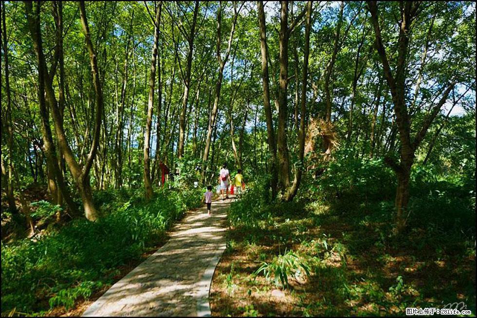 【春天,广西桂林灌阳县向您发出邀请!】熊家寨湿地公园 - 游山玩水 - 鹤岗生活社区 - 鹤岗28生活网 hegang.28life.com