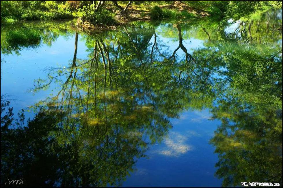 【春天,广西桂林灌阳县向您发出邀请!】熊家寨湿地公园 - 游山玩水 - 鹤岗生活社区 - 鹤岗28生活网 hegang.28life.com