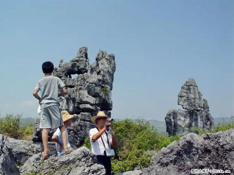 桂林旅游名城景点:灌阳文市石林 - 游山玩水 - 鹤岗生活社区 - 鹤岗28生活网 hegang.28life.com