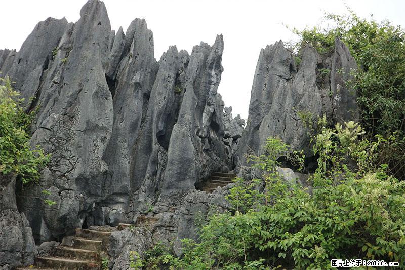 桂林旅游名城景点:灌阳文市石林 - 游山玩水 - 鹤岗生活社区 - 鹤岗28生活网 hegang.28life.com