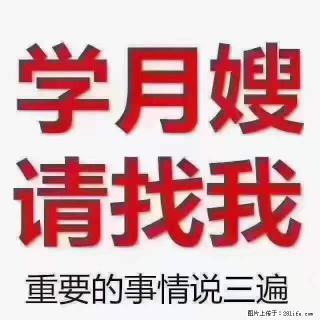 为什么要学习月嫂,育婴师? - 鹤岗28生活网 hegang.28life.com