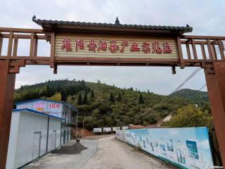 【灌阳县油茶产业示范区】一个有着充实的精神生活的人,对待身外之物自会有一种淡泊的态度 - 鹤岗28生活网 hegang.28life.com