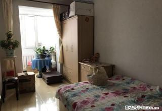 九洲53平,3楼,拎包入住 - 鹤岗28生活网 hegang.28life.com
