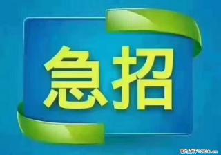 急单,上海长宁区隔离酒店招保安,急需6名,工作轻松不站岗,管吃管住工资7000/月 - 鹤岗28生活网 hegang.28life.com