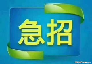 招出纳8000元/月，无证可以，要有相关经验，上海五险一金，包住，包工作餐，做六休一。 - 鹤岗28生活网 hegang.28life.com