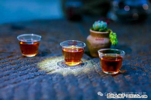 时间果百年古树2025年春红茶 - 购物交流 - 鹤岗生活社区 - 鹤岗28生活网 hegang.28life.com