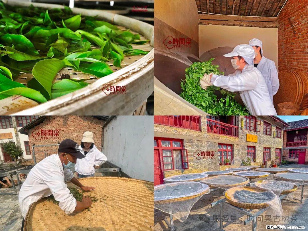 时间果百年古树龙珠普洱生茶 - 购物交流 - 鹤岗生活社区 - 鹤岗28生活网 hegang.28life.com