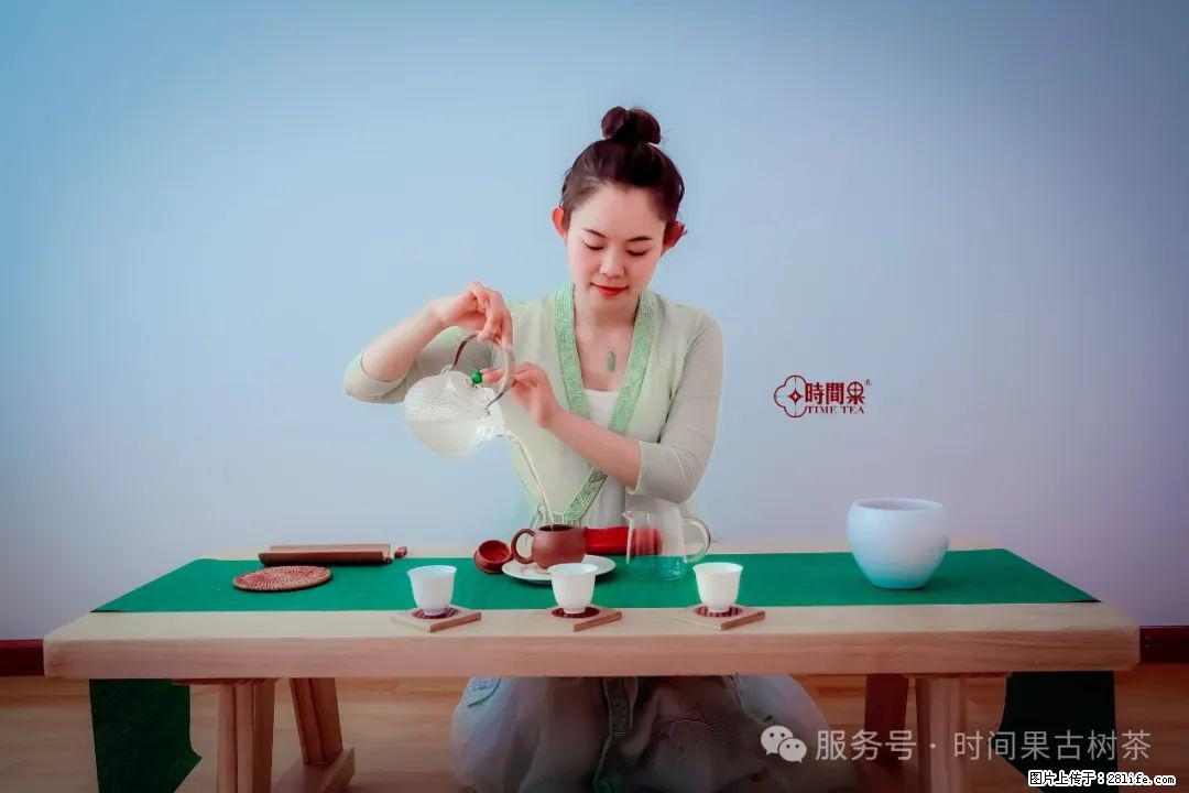 时间果百年古树龙珠普洱生茶 - 购物交流 - 鹤岗生活社区 - 鹤岗28生活网 hegang.28life.com