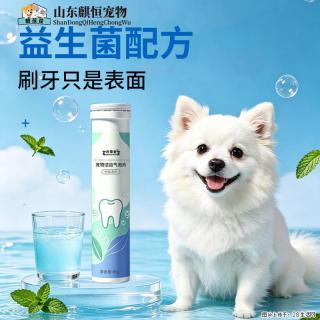 宠物洁齿气泡片熊孩子的牙齿洁白清新就找山东麒恒宠物有限公司定制