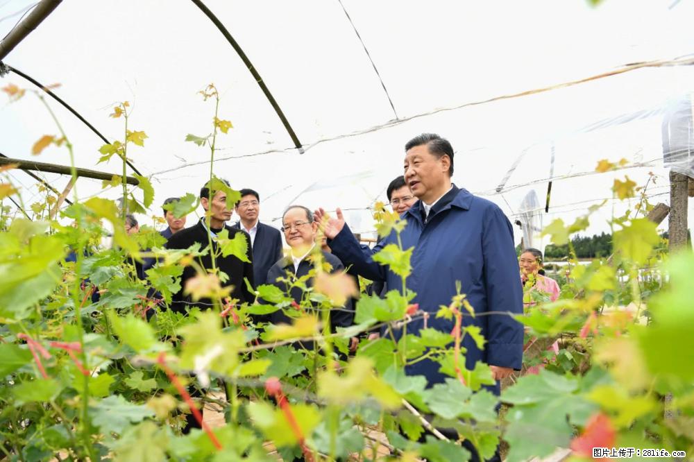 习近平赴广西考察调研 - 鹤岗生活资讯 - 鹤岗28生活网 hegang.28life.com