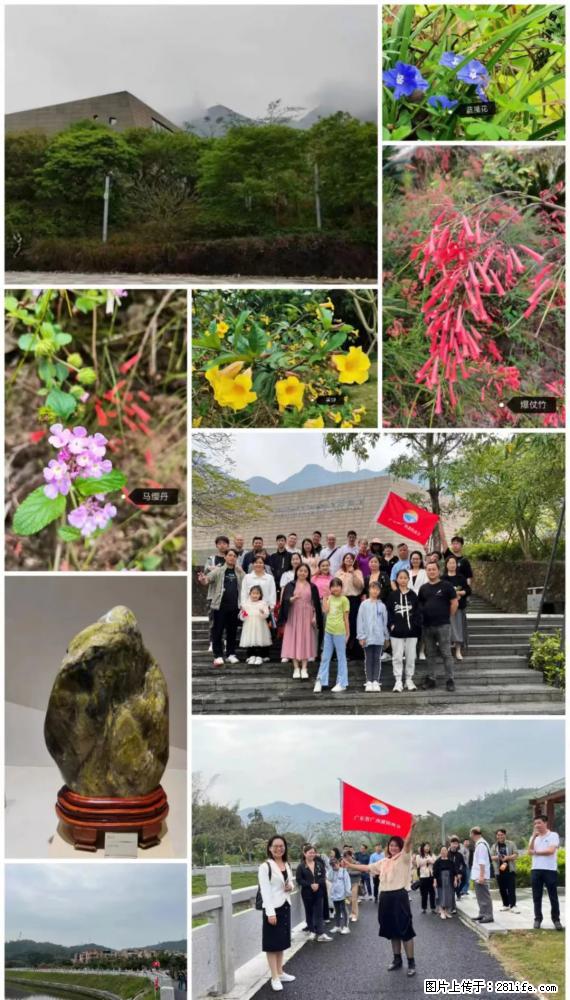 “粤灌文化 美好生活”油茶文化主题活动在广东深圳成功举办 - 鹤岗生活资讯 - 鹤岗28生活网 hegang.28life.com