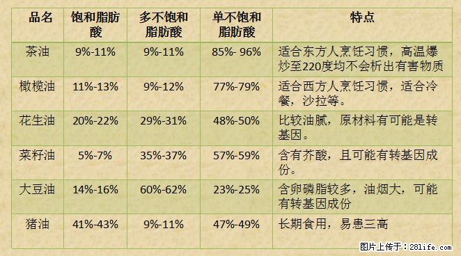 揭秘茶油的5大核心营养成分!被称为人体健康的“守护盾”! - 鹤岗生活资讯 - 鹤岗28生活网 hegang.28life.com