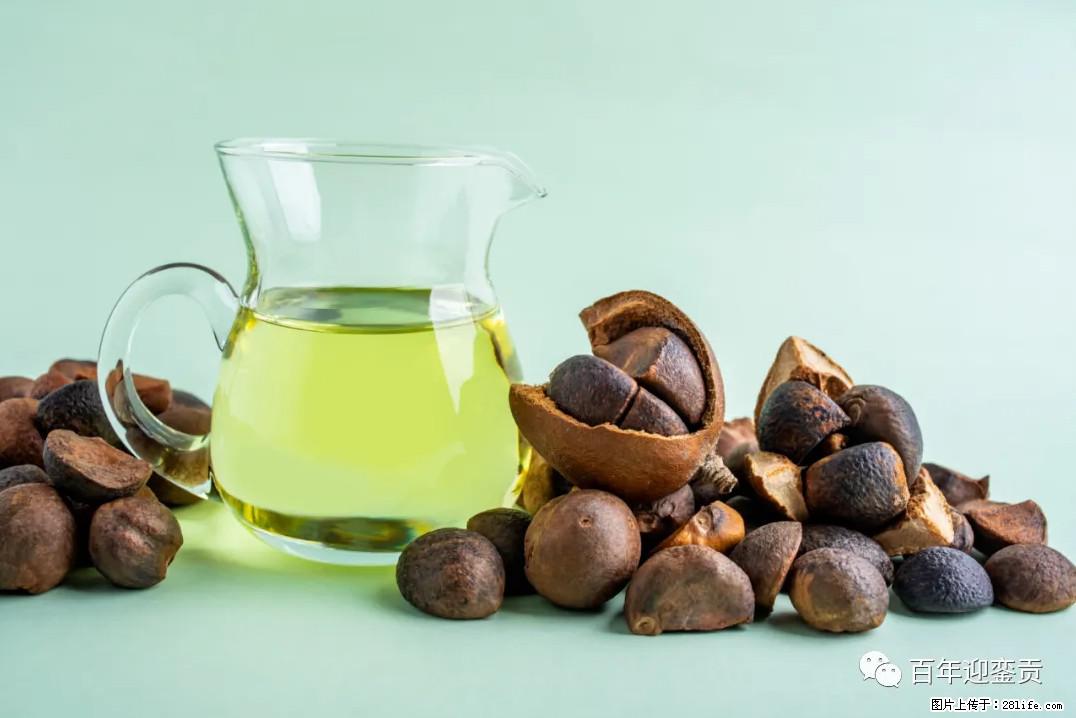 世界没有真相,只有认知,最好的食用油是中国的山茶油! - 鹤岗生活资讯 - 鹤岗28生活网 hegang.28life.com