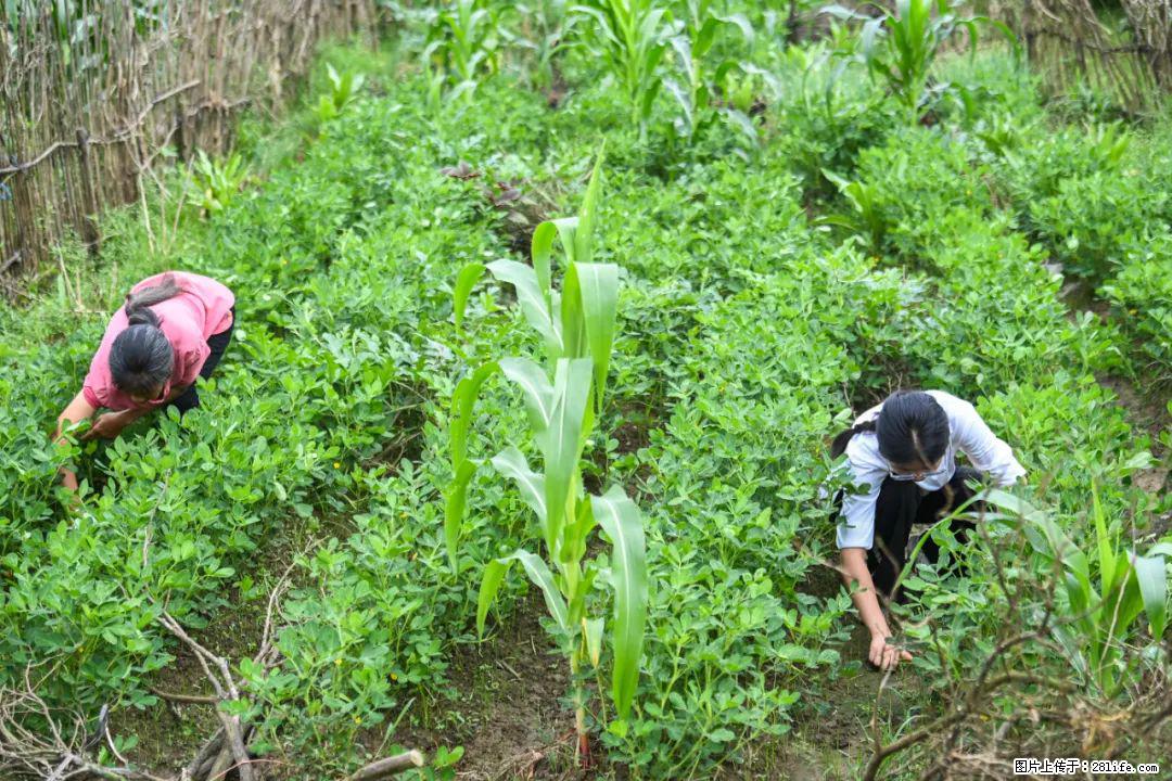 全网追的“扁担女孩”,找了一份暑假工,时薪12元 - 鹤岗生活资讯 - 鹤岗28生活网 hegang.28life.com