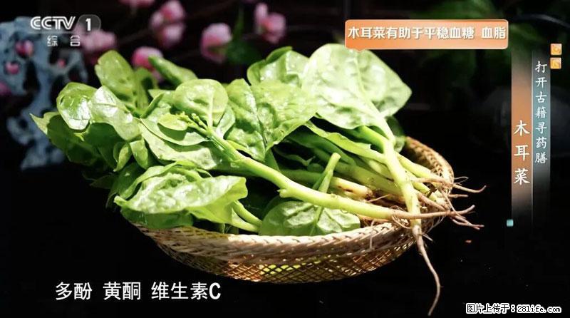 比牛奶补钙还厉害!凉血解毒、稳血糖...这菜冬天必吃,很多人却当草 - 鹤岗生活资讯 - 鹤岗28生活网 hegang.28life.com