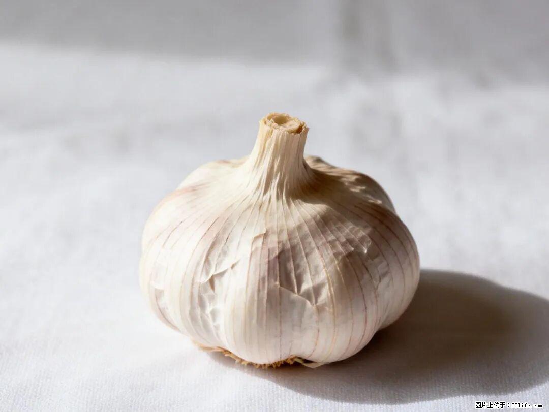关于大蒜,除了“天然抗生素”,这4个谣言更该警惕! - 鹤岗生活资讯 - 鹤岗28生活网 hegang.28life.com