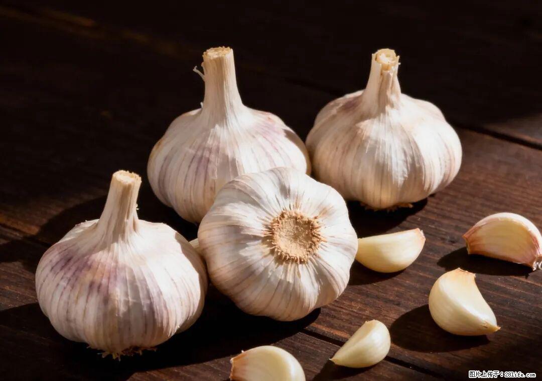 关于大蒜,除了“天然抗生素”,这4个谣言更该警惕! - 鹤岗生活资讯 - 鹤岗28生活网 hegang.28life.com