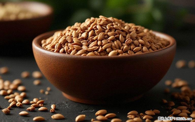 这三苦是三高“克星”,心血管干净不易堵!每天吃一点,指标慢慢降下来~ - 鹤岗生活资讯 - 鹤岗28生活网 hegang.28life.com