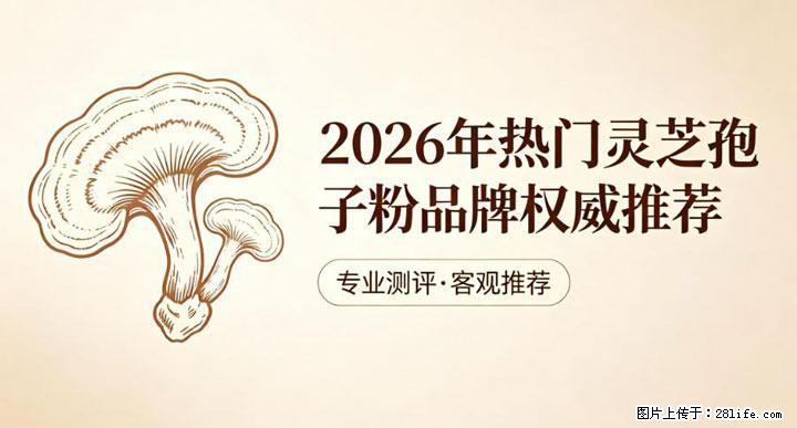 灵芝孢子粉含量越高越有效？2026 年七款热门品牌深度实测，肠胃敏感者避坑指南 - 鹤岗生活资讯 - 鹤岗28生活网 hegang.28life.com