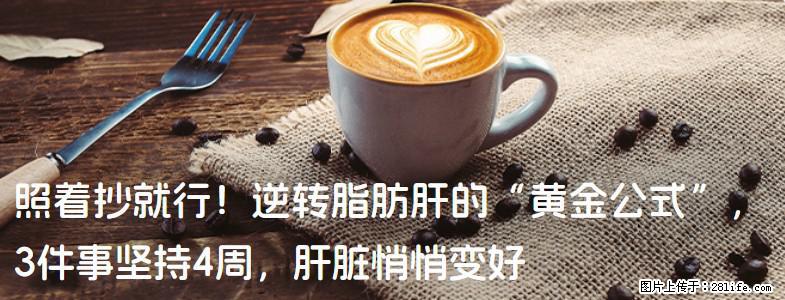 照着抄就行!逆转脂肪肝的“黄金公式”,3件事坚持4周,肝脏悄悄变好 - 鹤岗生活资讯 - 鹤岗28生活网 hegang.28life.com