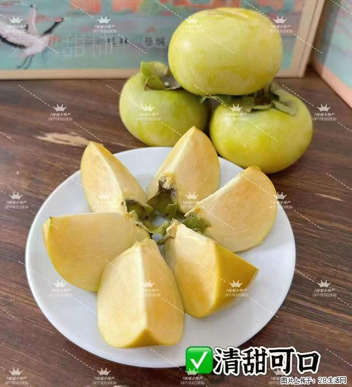 广西桂林平乐桥亭【红心猕猴桃】、【大秋甜柿】上市啦，欢迎各位新老客户下单（另有少量小果出售） - 鹤岗生活资讯 - 鹤岗28生活网 hegang.28life.com